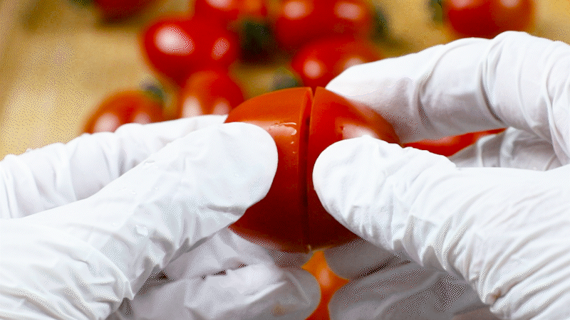dbtomato_04.gif