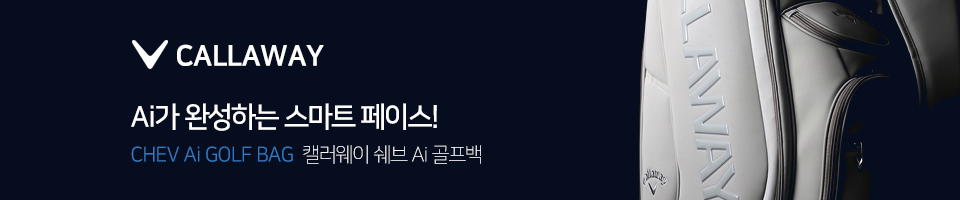 쉐브 Ai 골프백