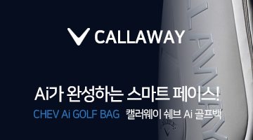 쉐브 Ai캐디백