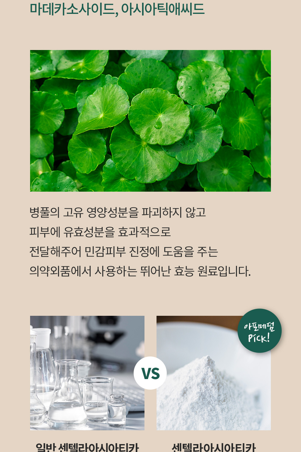 2_07.jpg