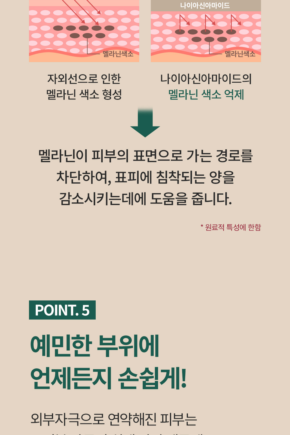 2_13.jpg