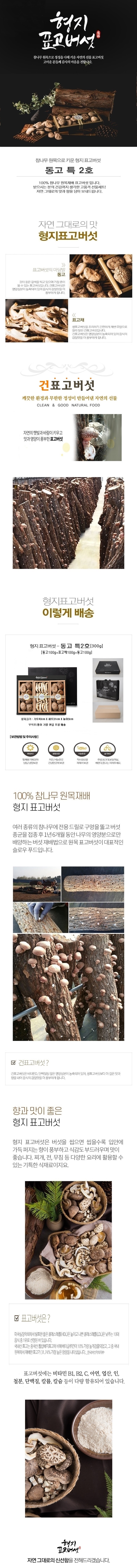 11동특2호.jpg