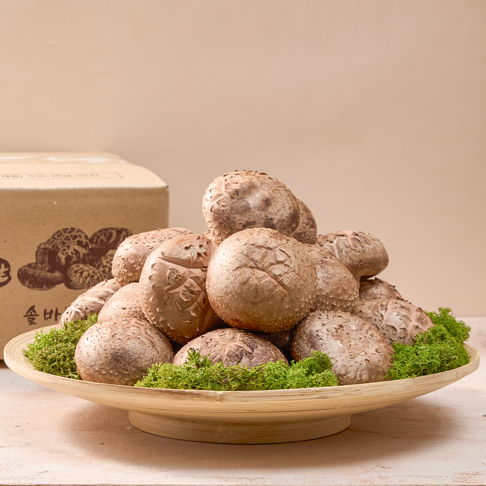 [솔바람농원]생표고버섯 가정용1kg, 2kg 내장산 무농약