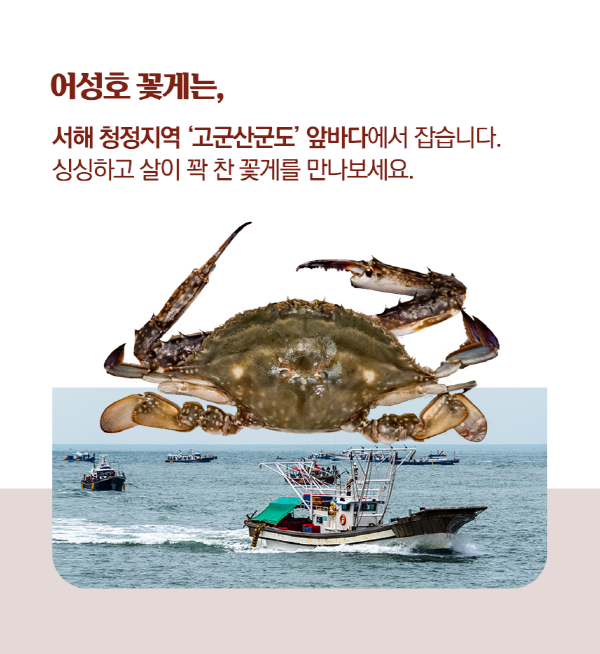 꽃게탕3.png