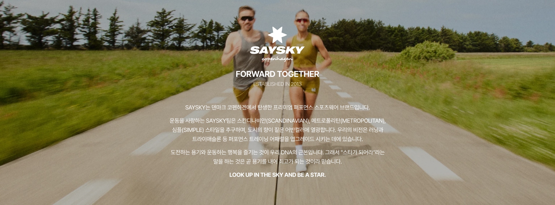 pc_brand_saysky.jpg