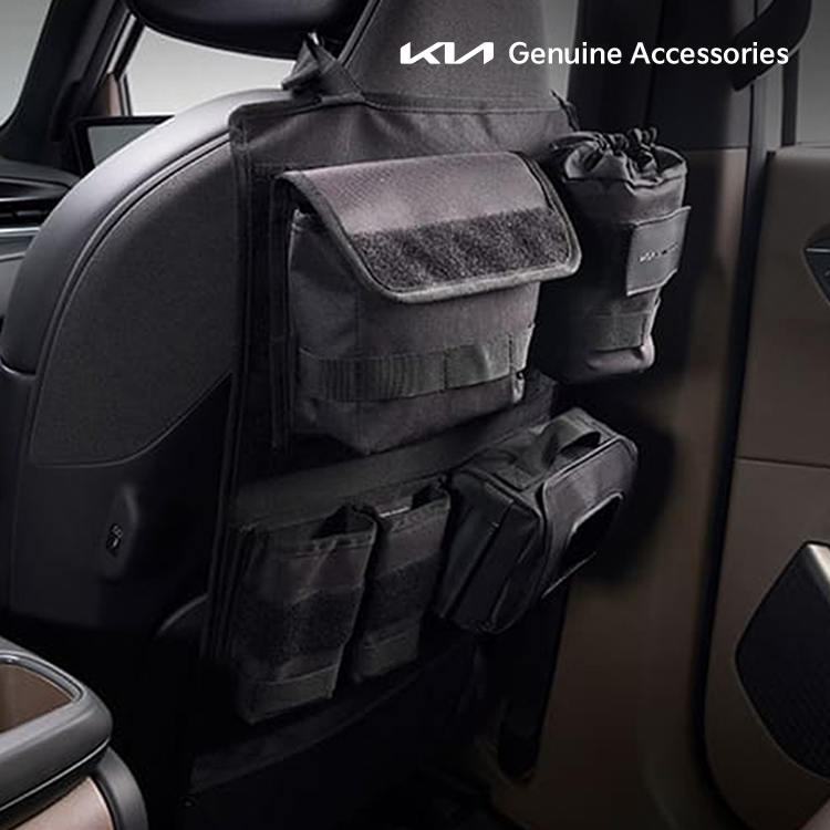 시트백 오거나이저(앞좌석), 타스만