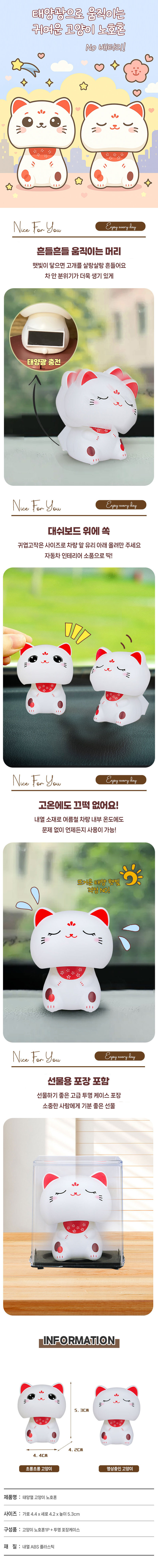 고양이-노호혼00.jpg