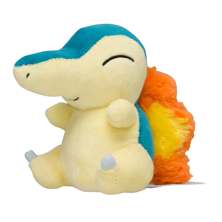 포켓몬센터 봉제인형 Pokemon fit 브케인