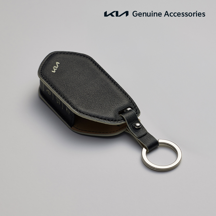 스마트키 가죽 케이스, PV5