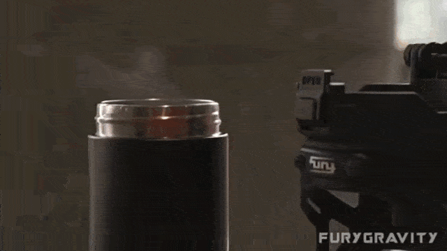 EBB684ED95A0ECBBB7_05.gif