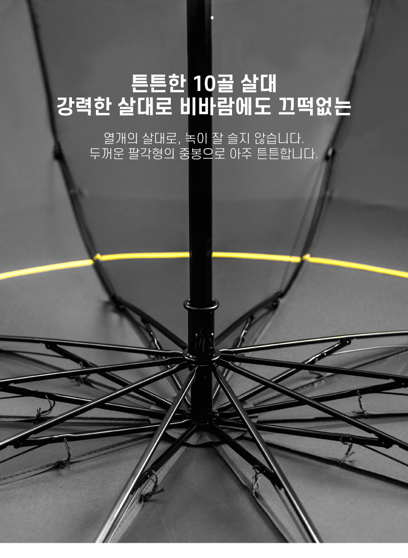 umbrella_3_06.jpg