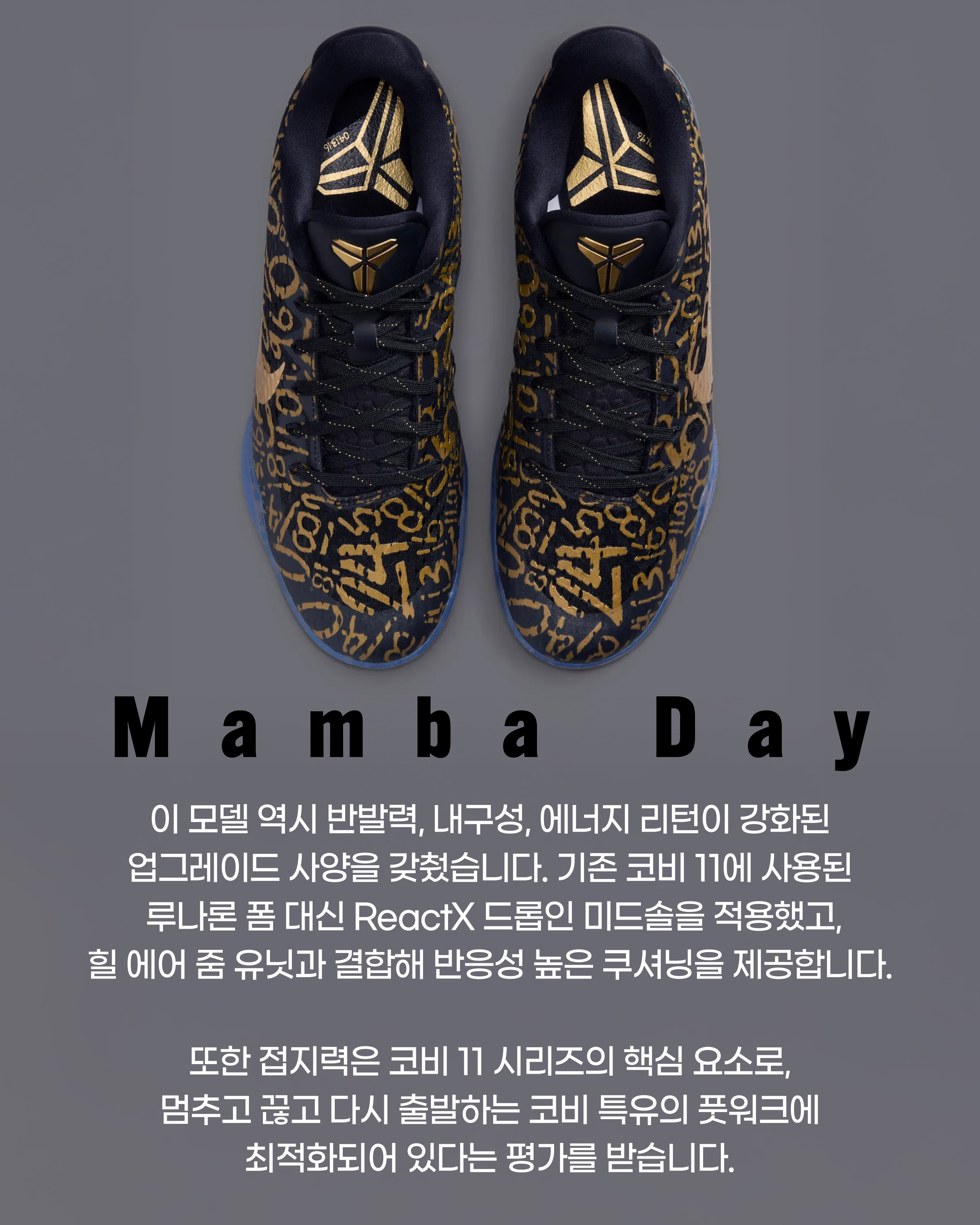 코비(9).jpg