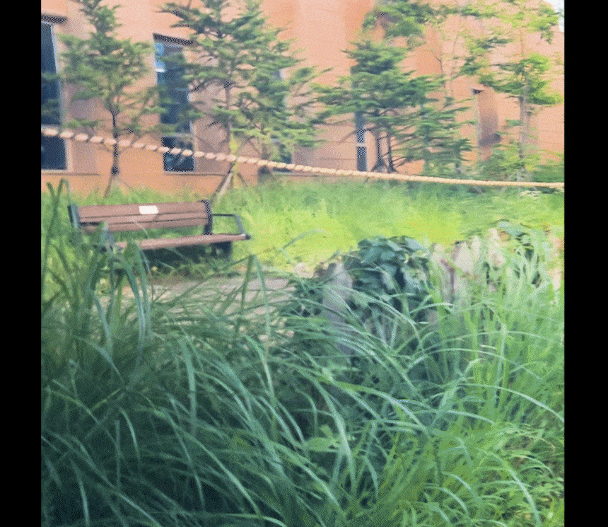 EP라인_상세페이지_퀵디테일러_10.gif