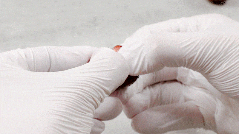 002_food100_7nk4nFje.gif