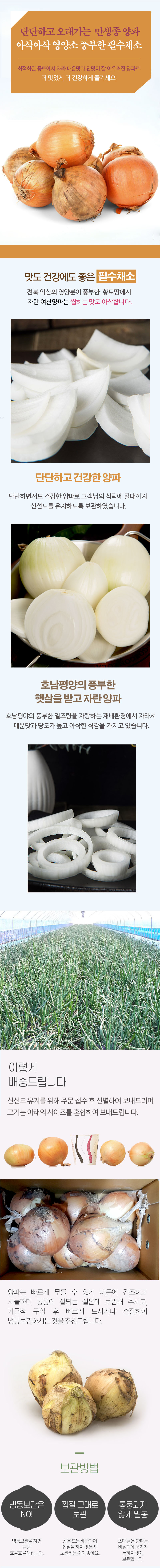 양파.jpg