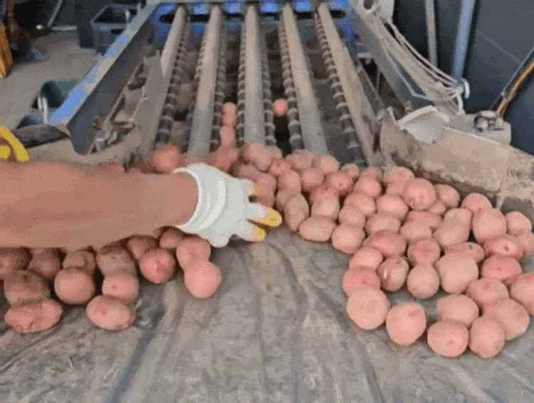 GJ-PPCR-01_PDP-04.gif
