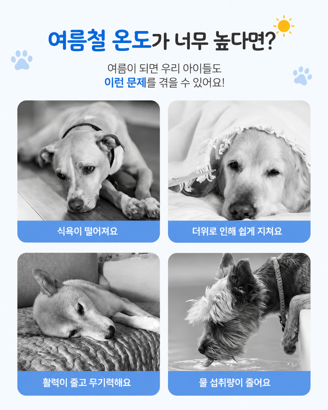 꿀벌2.png