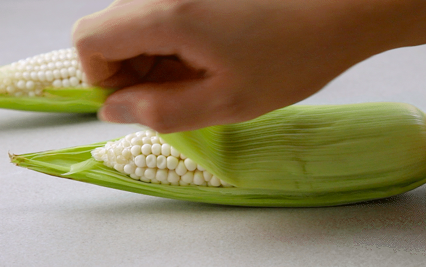 002_food100_9O6jgFMd.gif