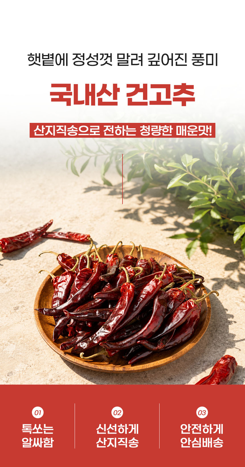 001_food100_V4-O-_fG.jpg