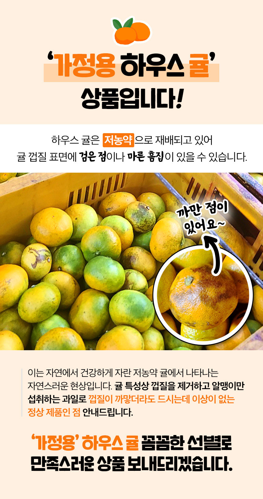 001_food100_uB73D-VK.jpg