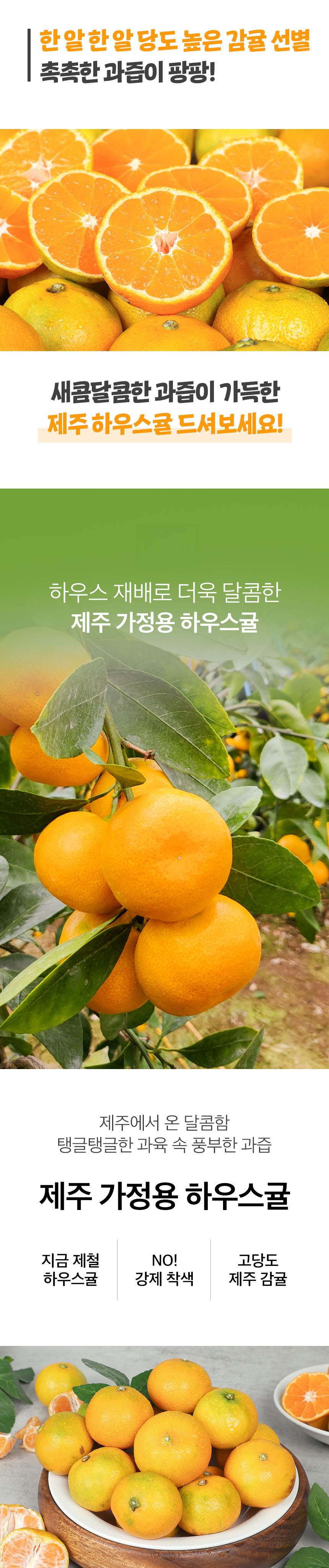 004_food100_xWfT6nEI.jpg
