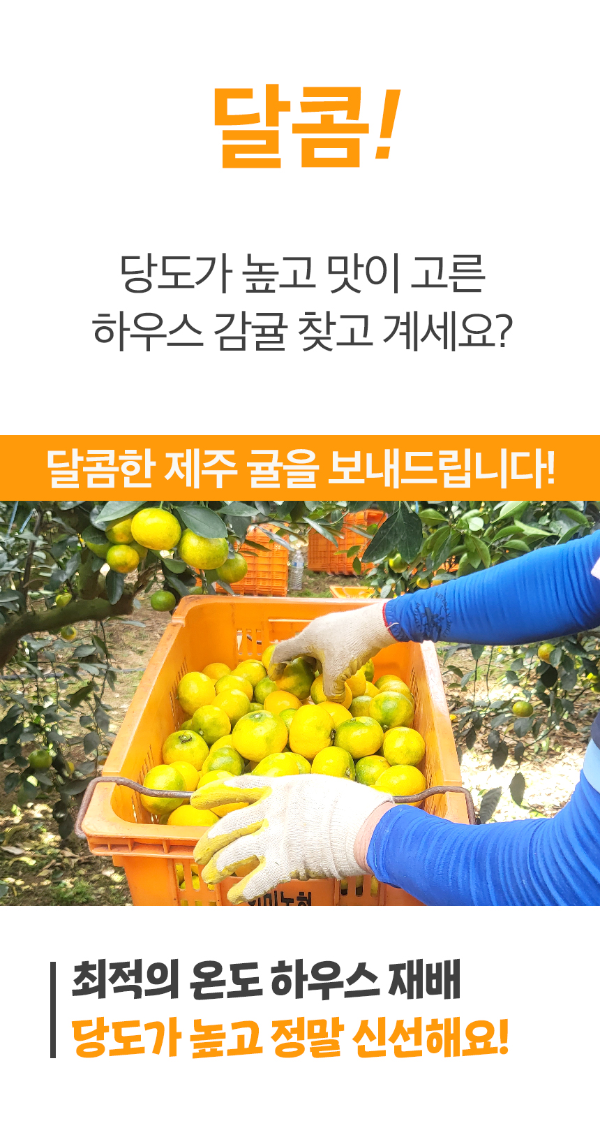 002_food100_ZCL7iQgQ.jpg