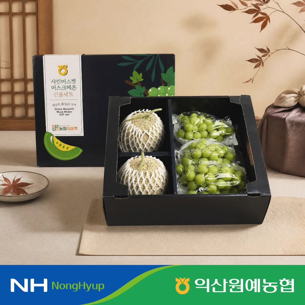 [익산원예농협] 과일 혼합 명절 선물 세트 특 5kg 멜론2수 샤인3-4수