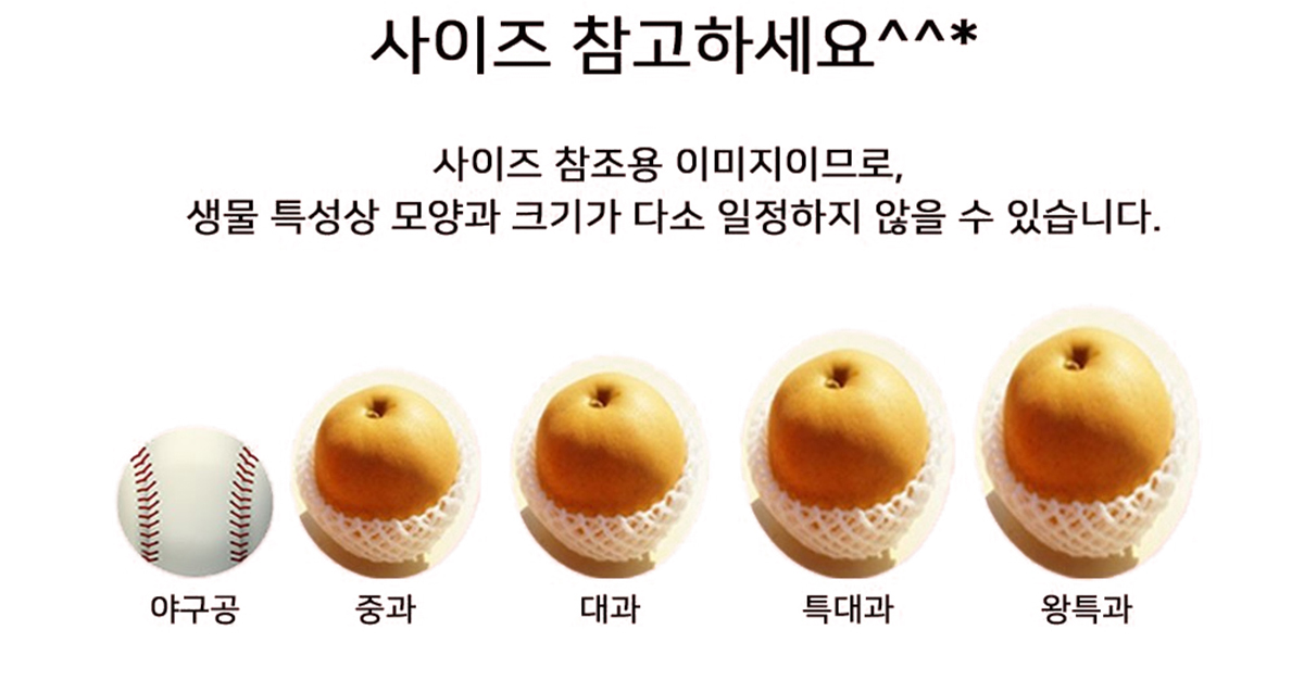 배 사이즈.jpg