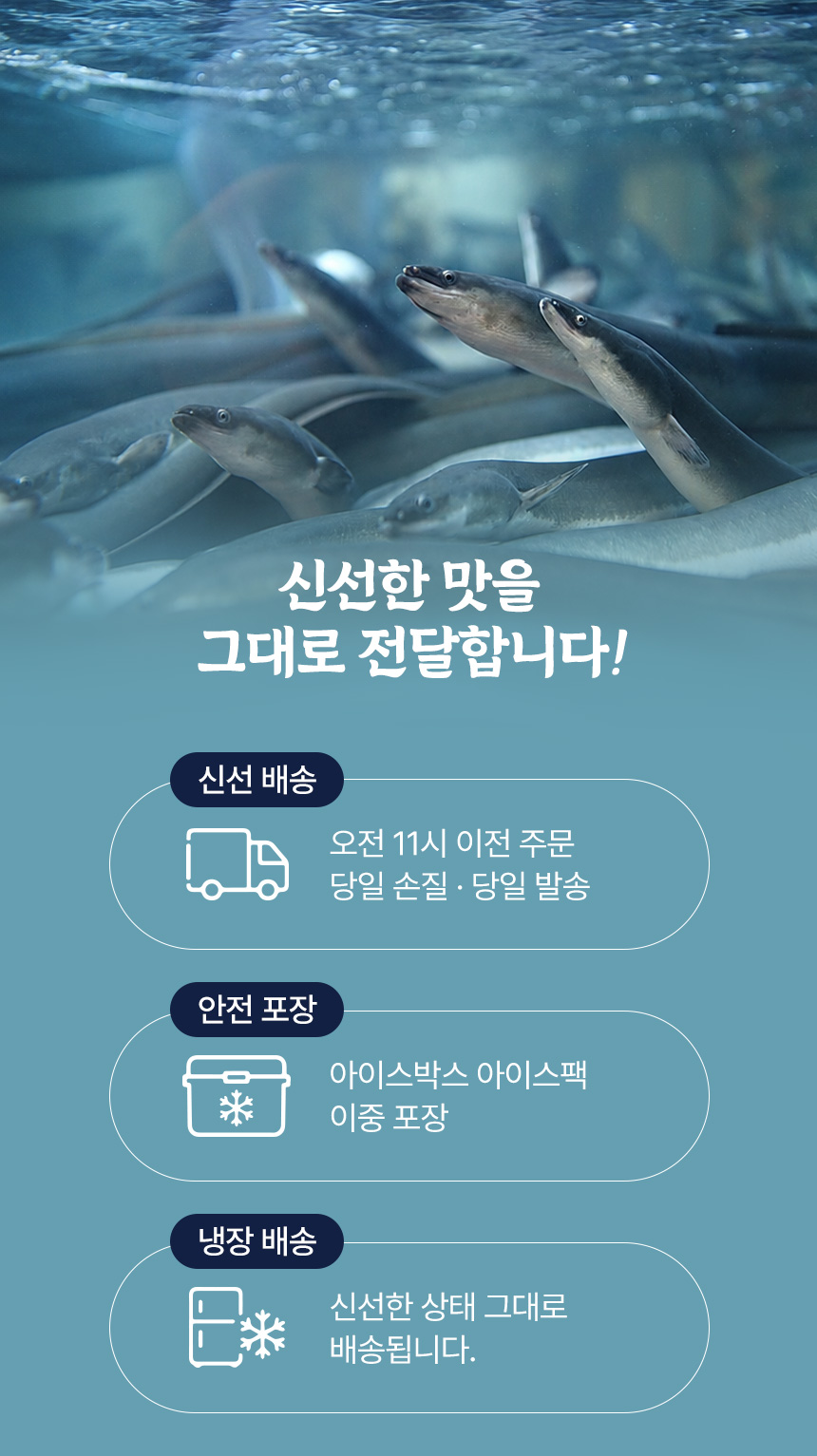 서연수산-풍천-민물장어_400g_01_12.jpg
