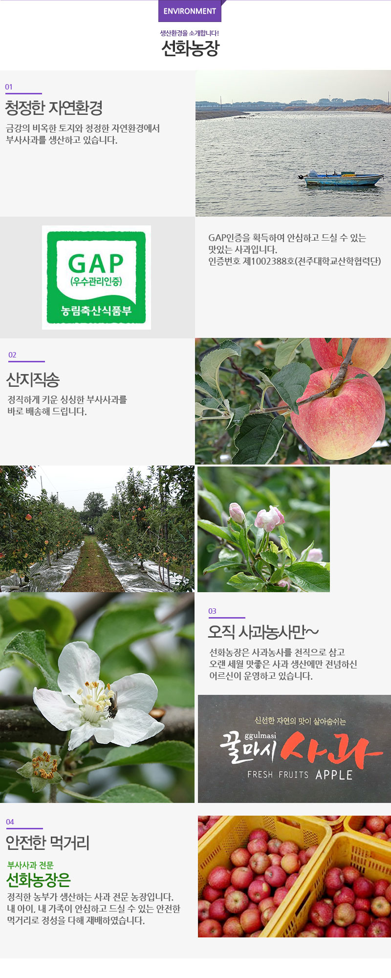 sunwha-apple-3.jpg