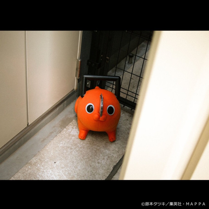 imgi_43_1000256181_15.jpeg