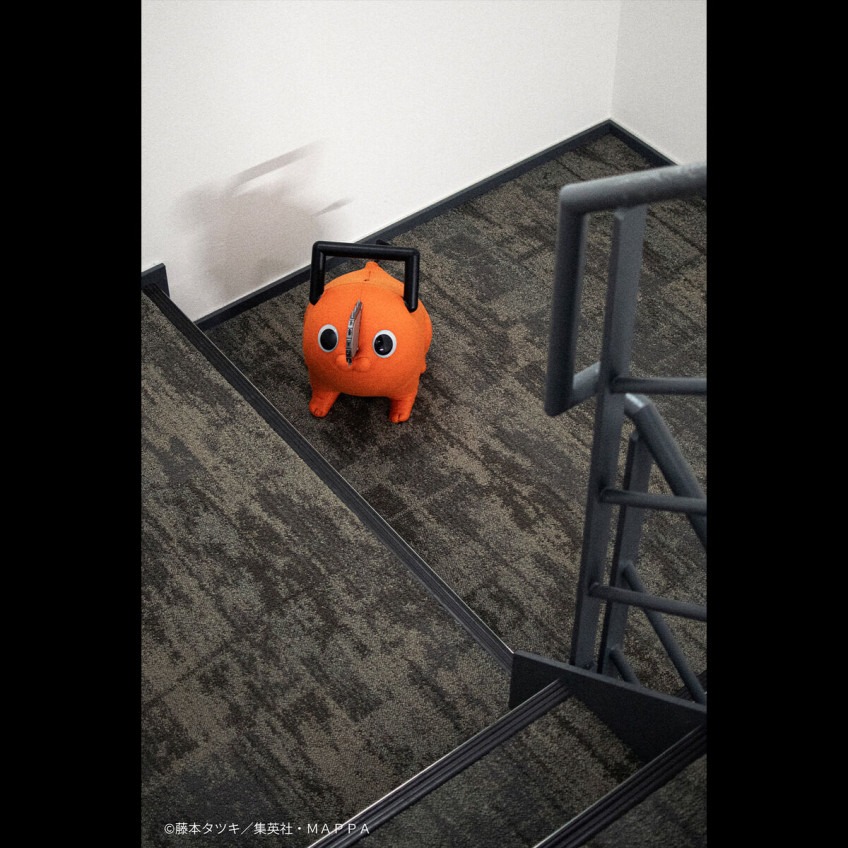 imgi_46_1000256181_18.jpeg