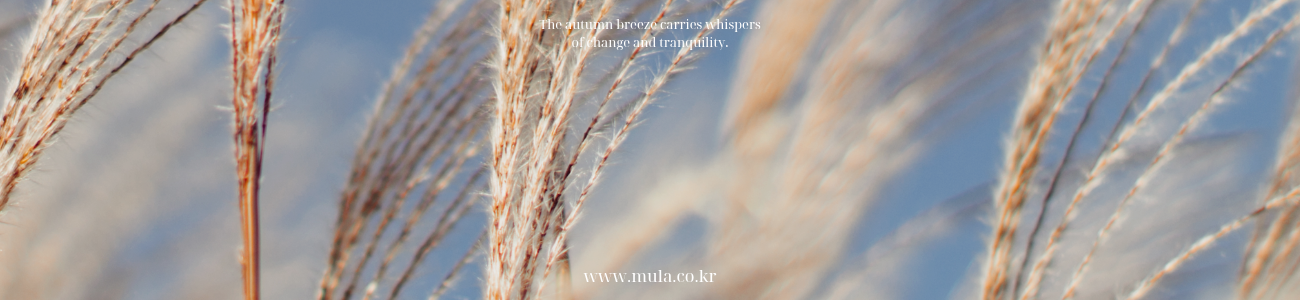 2026가을_1300-300.png
