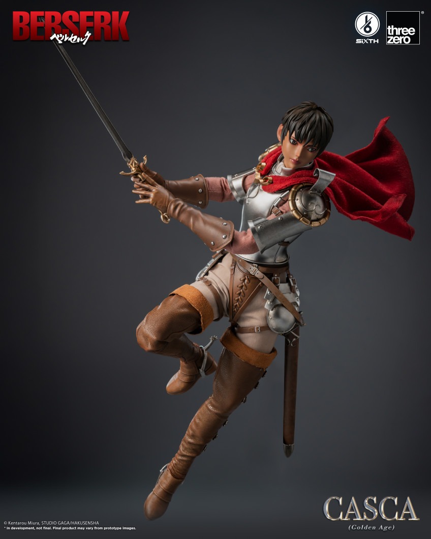 imgi_35_SIXTH_BERSERK_Casca_Golden_Age_10.jpeg