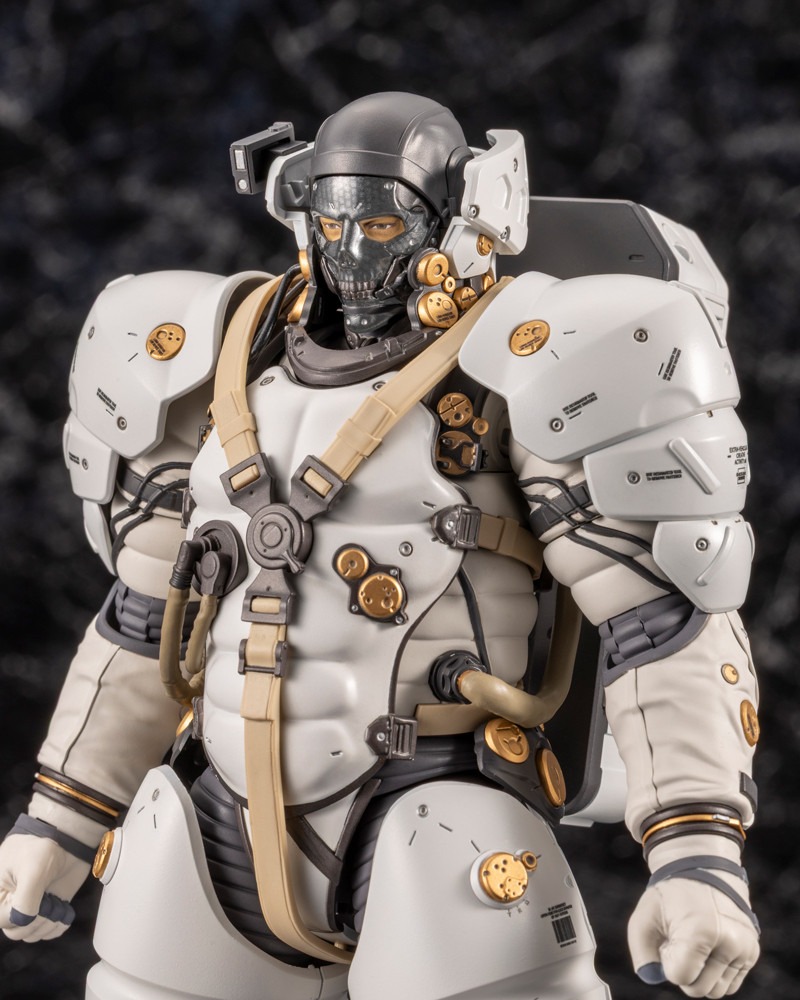 imgi_73_KP786_ludens_11.jpg