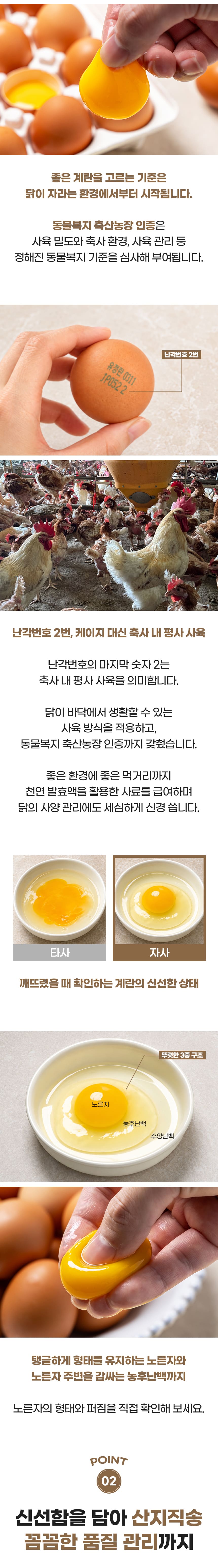 003_food100_axg2h58J.jpg