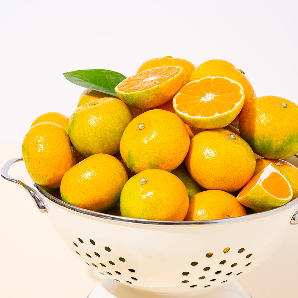 [더조은] 극조생 노지 서귀포 감귤 2L (중대과) 5kg
