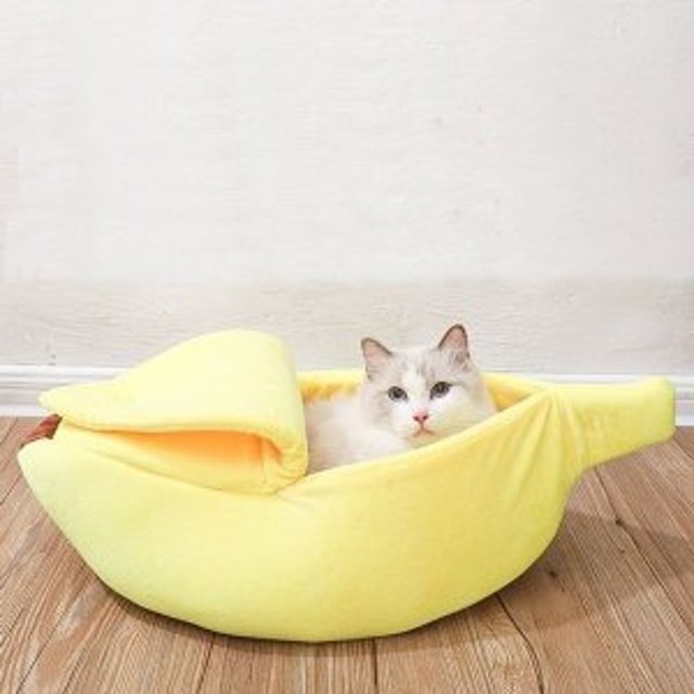 최근이미지