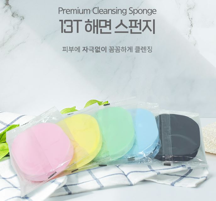 해면 스펀지 13T 10개입