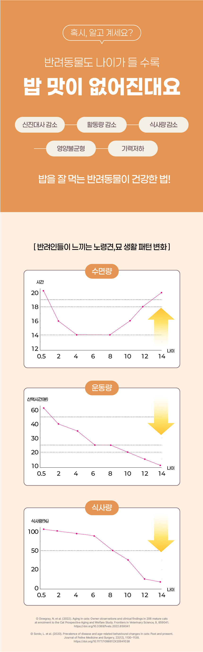 팔레트파우더_07.jpg