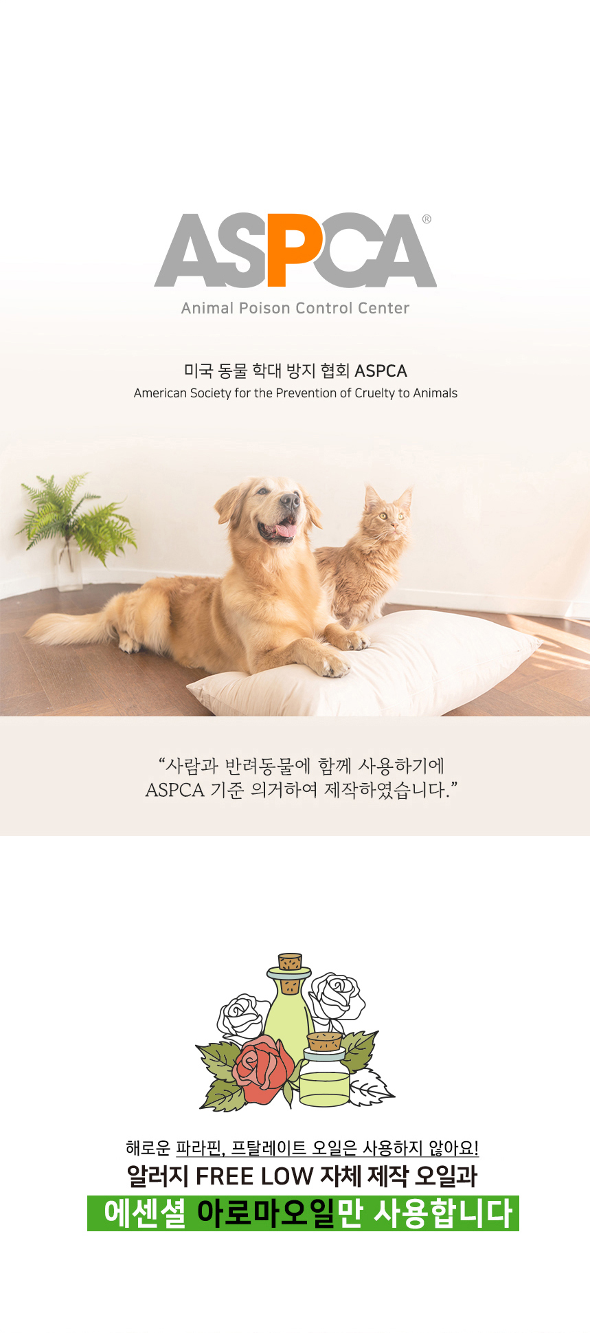 SE 이미지 4
