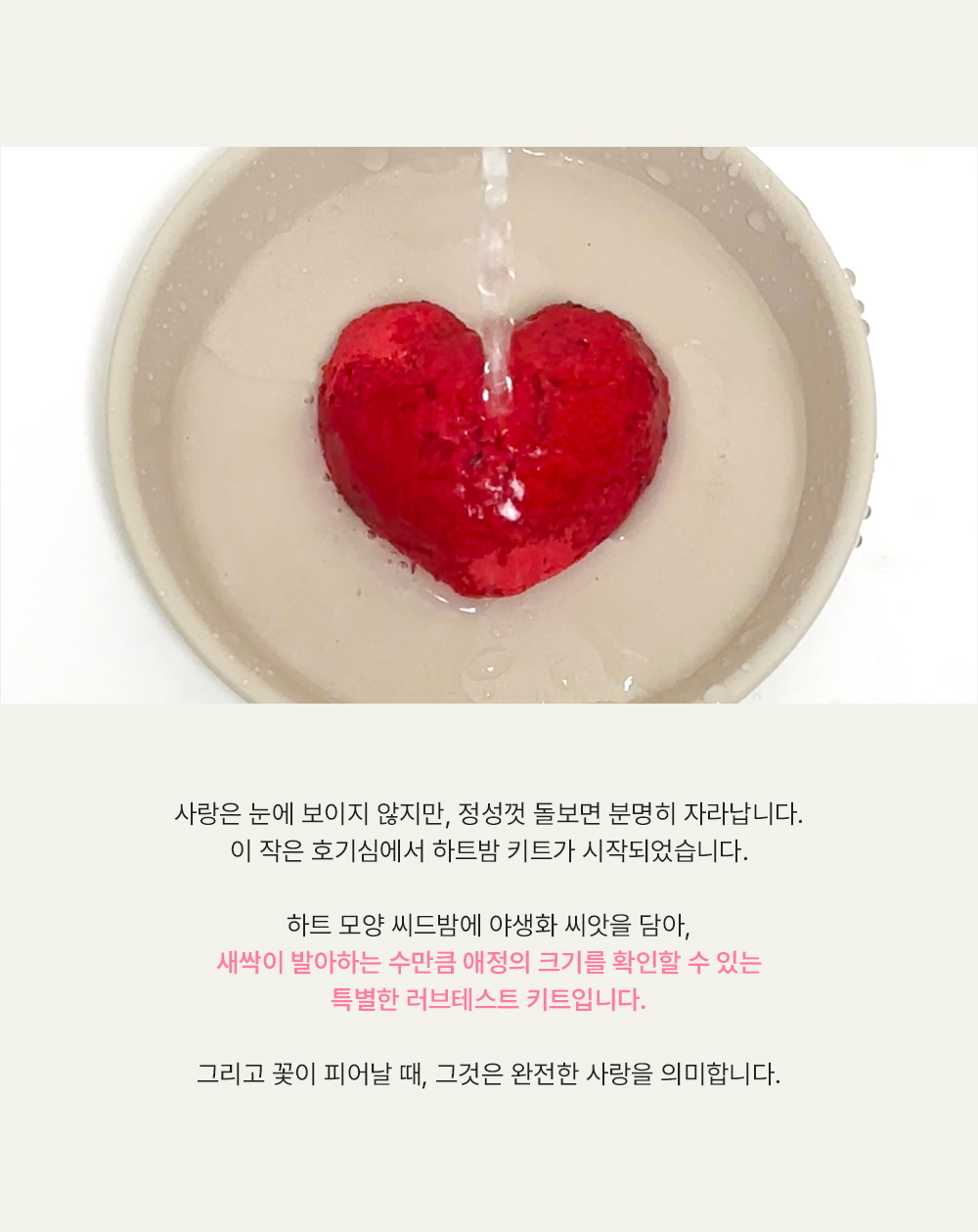 251201_씨드하트밤_상세페이지_04.jpg