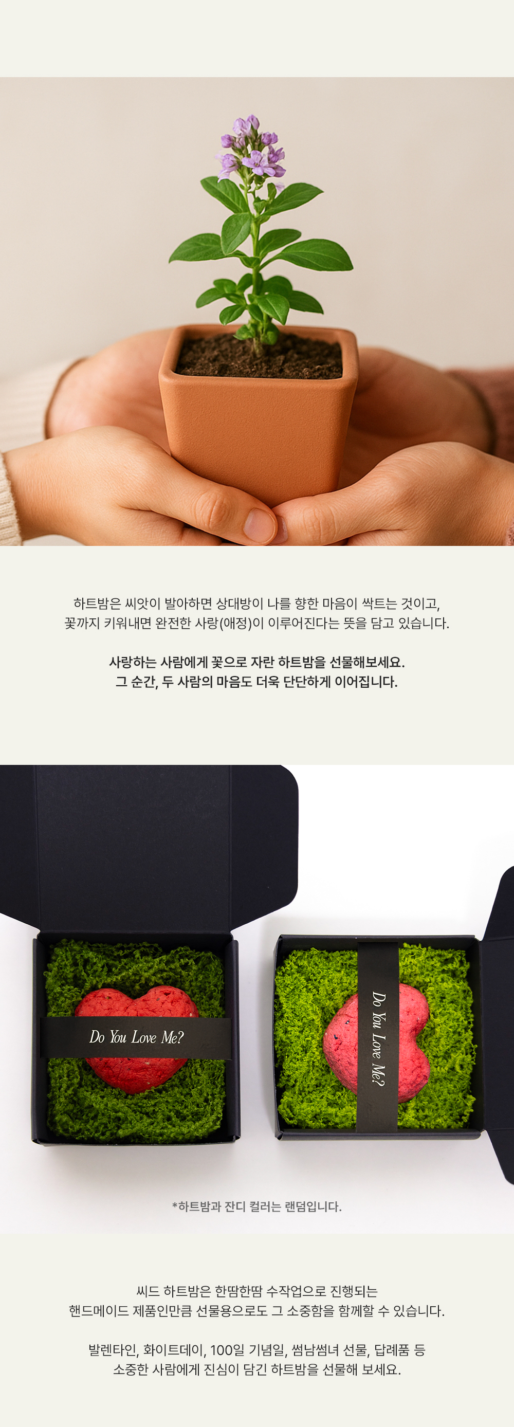 251201_씨드하트밤_상세페이지_06.jpg