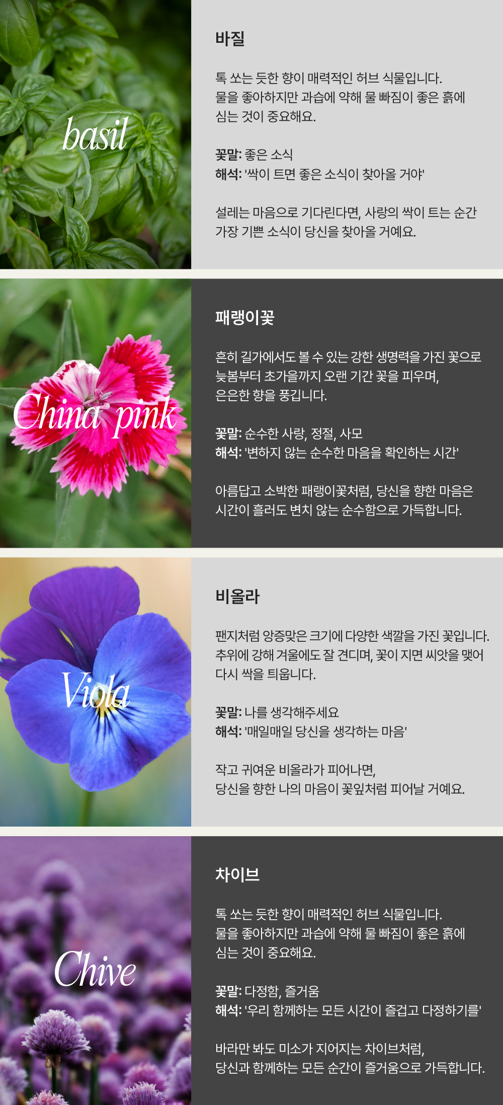 251201_씨드하트밤_상세페이지_07.jpg