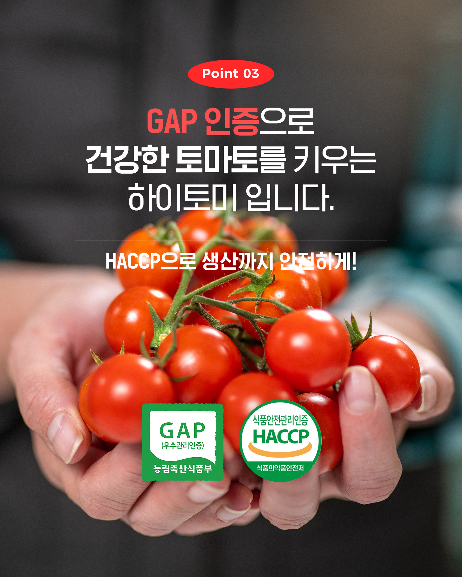 006_포인트03.jpg