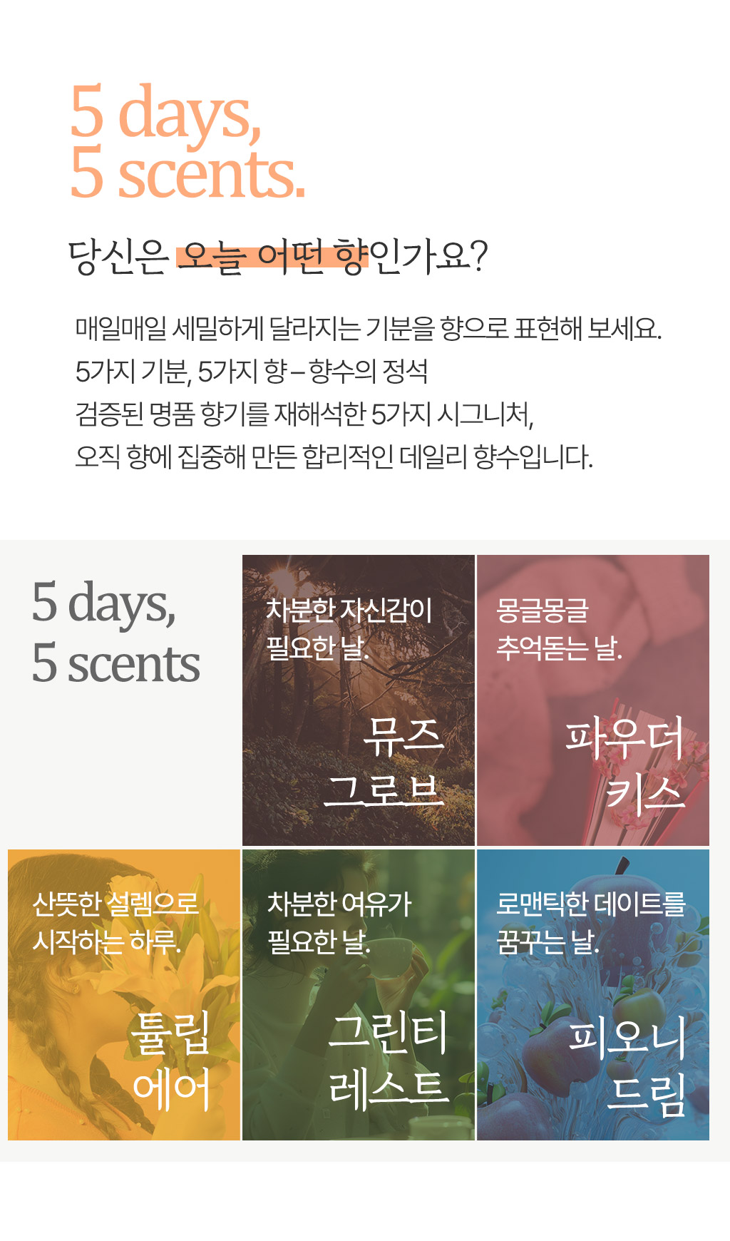 향수의정석_상세new_04.jpg