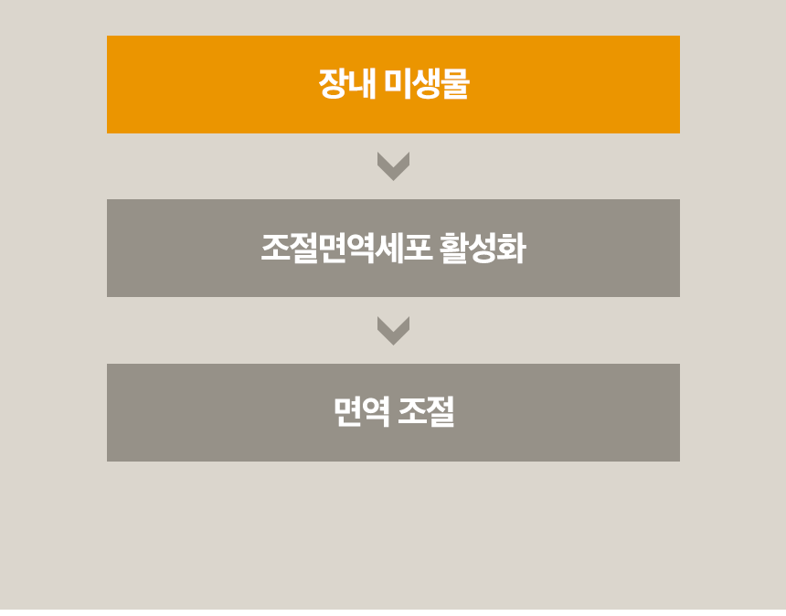 11_포인트2서론_움짤.gif