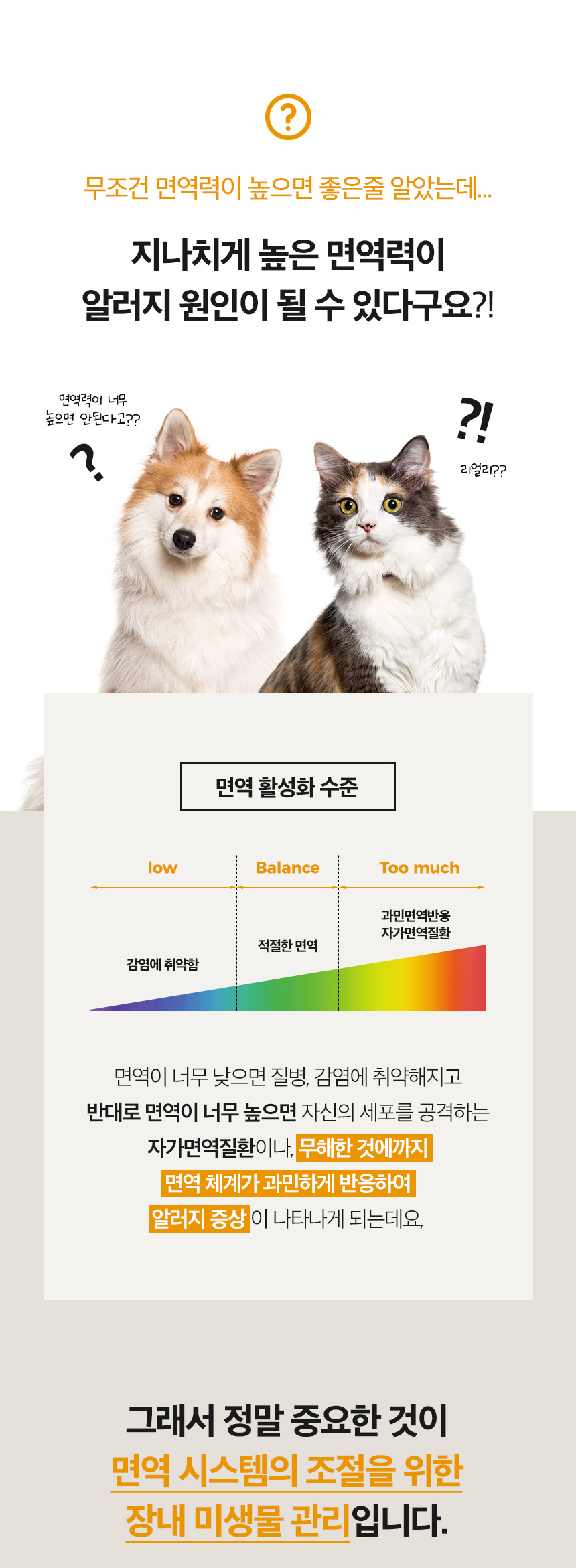 11_포인트2서론.jpg