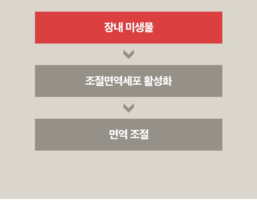 11_포인트2서론_움짤.gif