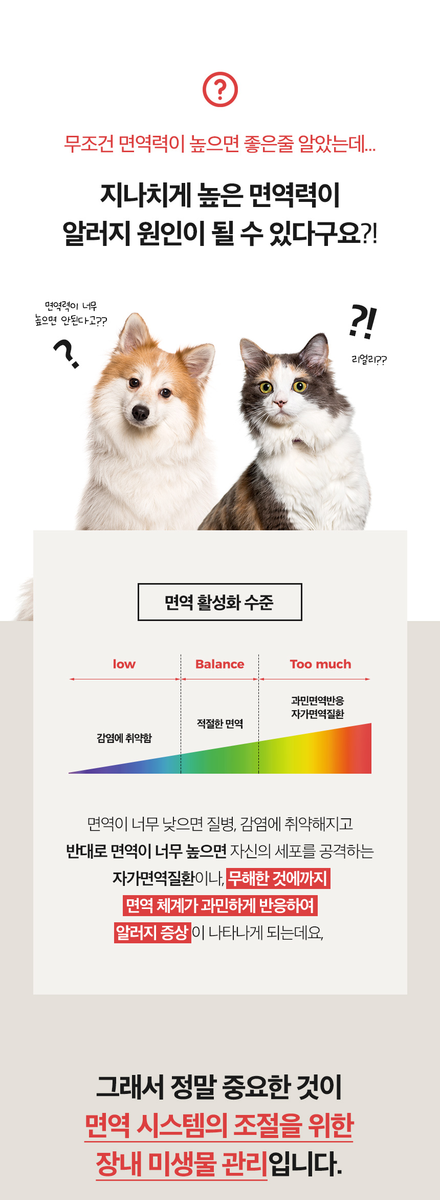 11_포인트2서론.jpg